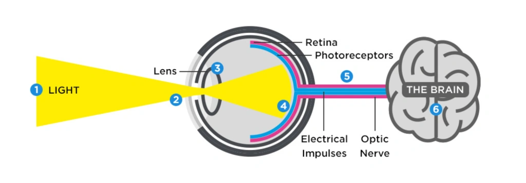 Definitive Guide to Computer Vision in AI Computer vision in AI,Guide to computer vision,''What is Computer Vision''