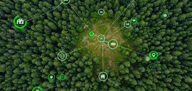 Navigating the EUDR AyaGrow's Farm-Level Precision for Compliance