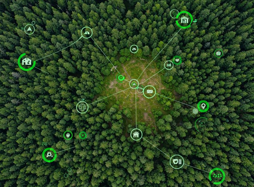 Navigating the EUDR AyaGrow's Farm-Level Precision for Compliance Navigating the EUDR AyaGrow's Farm-Level Precision for Compliance