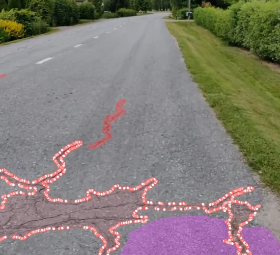 Services_polygon annotation