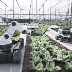 Agriculture Agriculture, Agribusiness, data annotation in agriculture, ''crop annotation services'', agricultural data annotation services