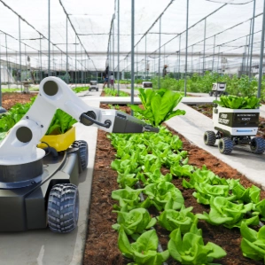 Agriculture, Agribusiness, data annotation in agriculture, ''crop annotation services'', agricultural data annotation services