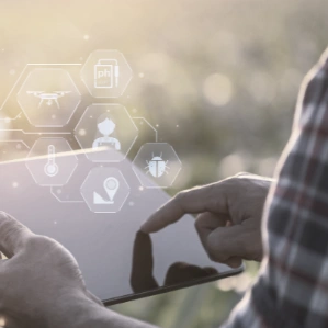 Agriculture Agriculture, Agribusiness, data annotation in agriculture, ''crop annotation services'', agricultural data annotation services