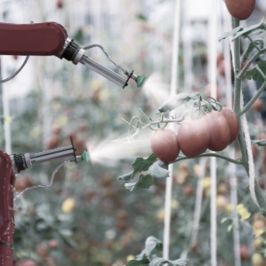 Agriculture Agriculture, Agribusiness, data annotation in agriculture, ''crop annotation services'', agricultural data annotation services