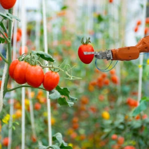 Agriculture, Agribusiness, data annotation in agriculture, ''crop annotation services'', agricultural data annotation services