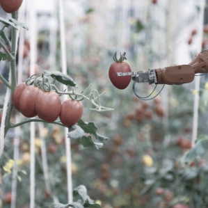 Agriculture Agriculture, Agribusiness, data annotation in agriculture, ''crop annotation services'', agricultural data annotation services