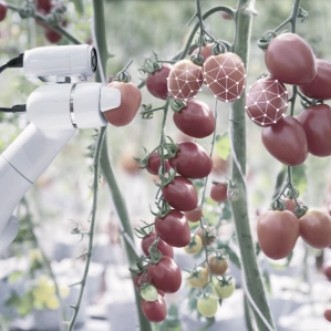 Agriculture Agriculture, Agribusiness, data annotation in agriculture, ''crop annotation services'', agricultural data annotation services