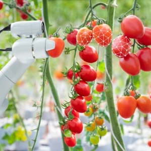 Agriculture, Agribusiness, data annotation in agriculture, ''crop annotation services'', agricultural data annotation services