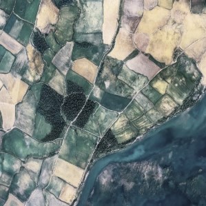 RLHF services, RLHF Solutions, Why is RLHF Important?