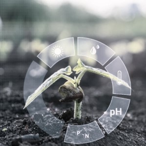 RLHF services, RLHF Solutions, Why is RLHF Important?