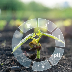 RLHF services, RLHF Solutions, Why is RLHF Important?