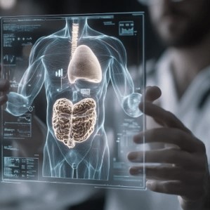 Human-in-the-Loop (HITL) services,HITL Services,HITL