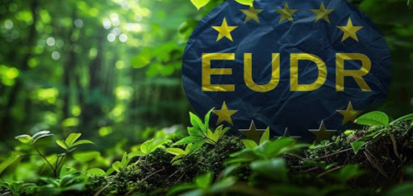 Digital Solutions to MEET EUDR Compliance