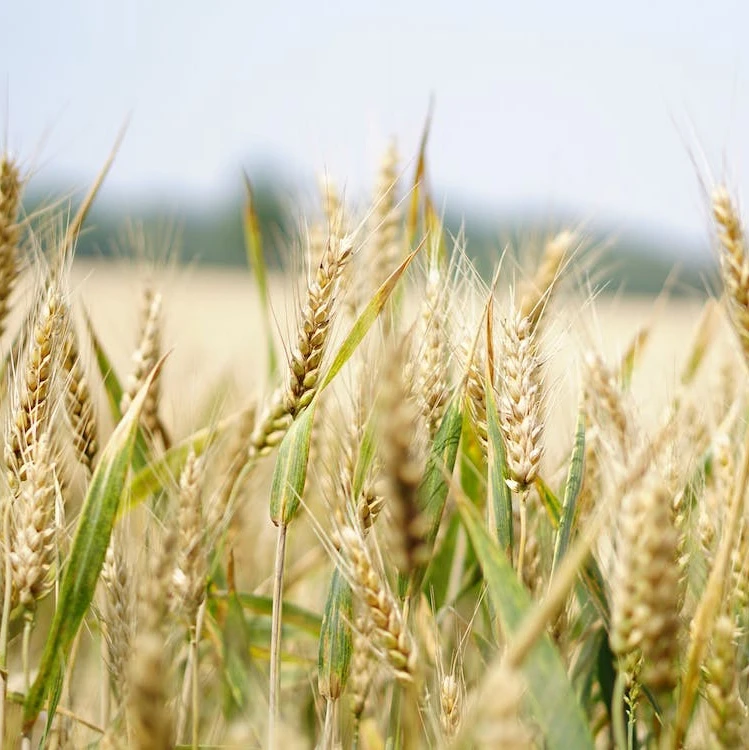 Data Annotation,data annotation service,Data annotation services,''data annotation companies'',data annotation companies,data annotation europe,aya data,ai data annotation,Annotation Services UK,What is data annotation,ai data annotation services,What are data annotation services,Types of data annotation,Data labeling services,Libeling services,data labelling and annotation companies,''highly recommended data annotation services for technology'',Data labelling