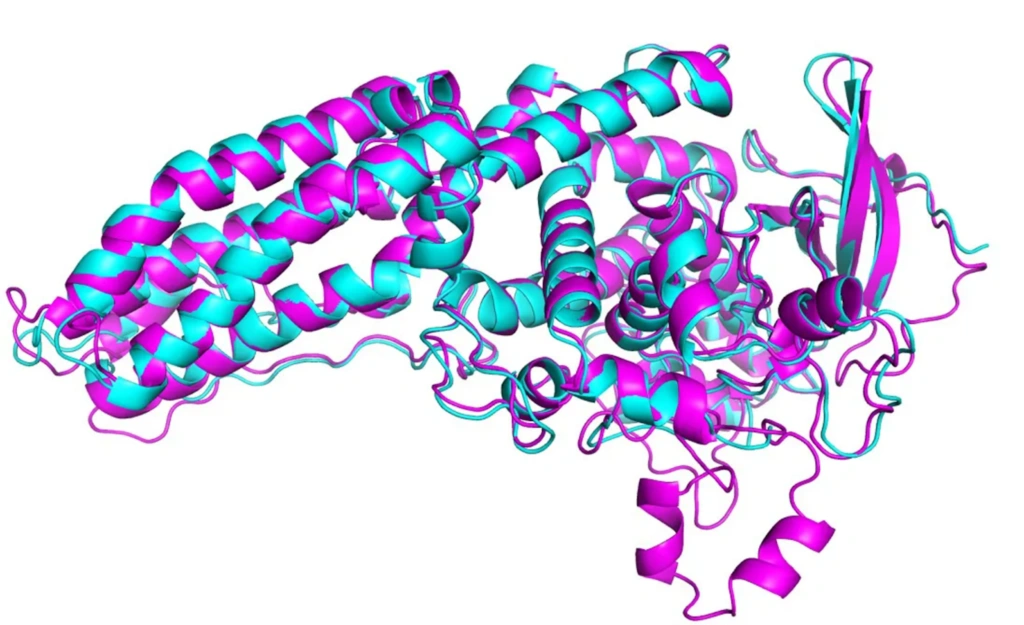 Medical AI,AI in Healthcare,''Ways AI is Transforming Medical Diagnostics'',Medical Research,Future of AI in Healthcare