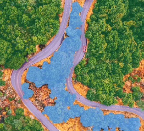 image segmentation image segmentation