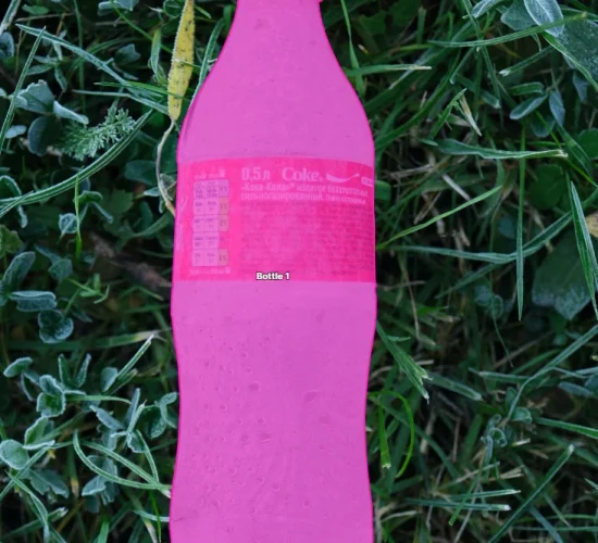 polygon annotation polygon annotation