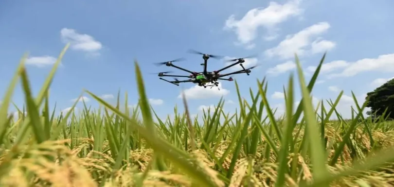 How Drones and Computer Vision are Used to Enhance Crop Yield