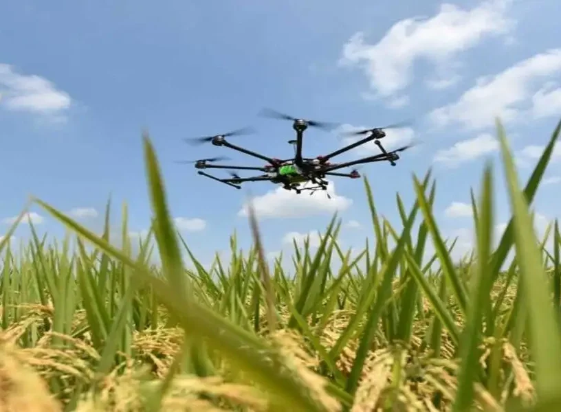 How Drones and Computer Vision are Used to Enhance Crop Yield