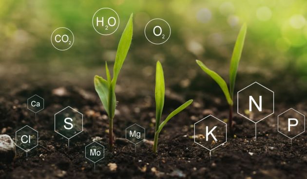 unnamed-14 Chemical components in soil detected through an AI-powered dashboard developed by Aya Data