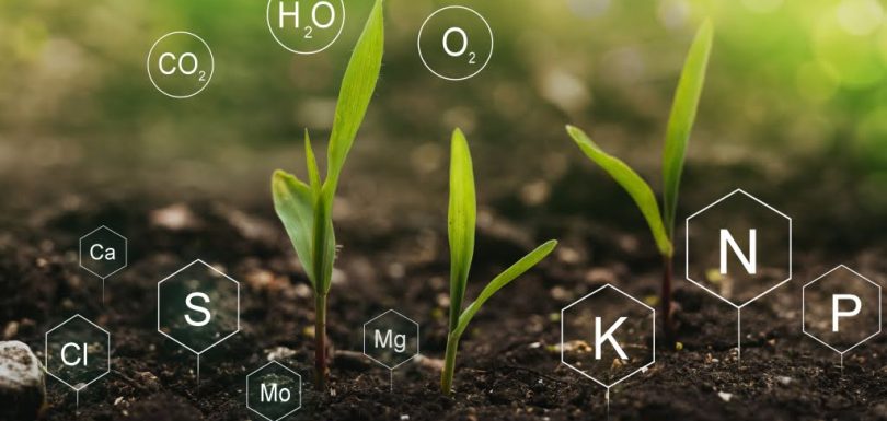 Chemical components in soil detected through an AI-powered dashboard developed by Aya Data